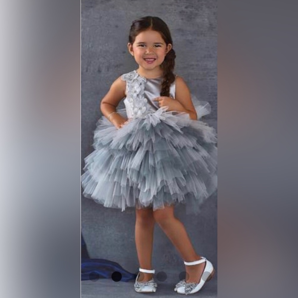 Sydney Itty Bitty Toes Elegant Silver Tulle Dress for Girls
